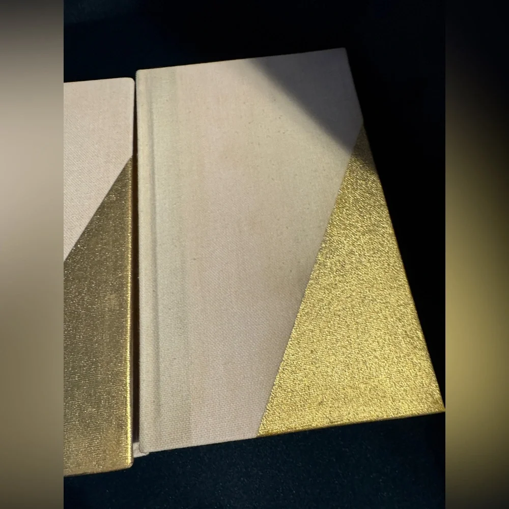 Dwell Studio Gold Leaf Gilt Edge Dot Grid Gold Light Pink Set of 3 Journals NEW